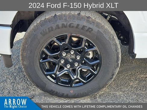 Used 2024 Ford F150 XLT w/ Equipment Group 302A MID AWD/4WD image 17