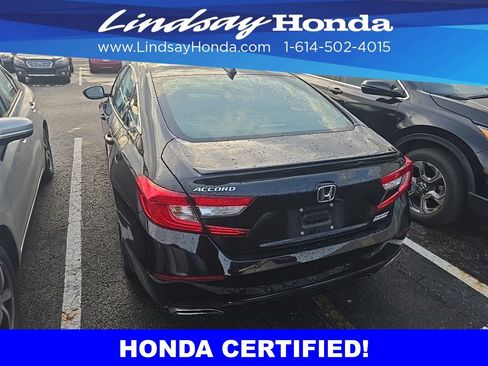 Used 2021 Honda Accord Sport Special Edition image 3