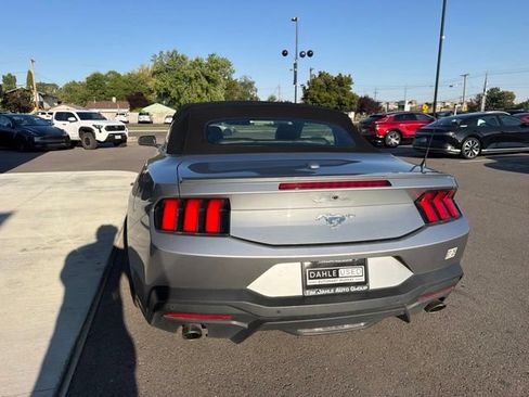 Used 2024 Ford Mustang Premium RWD image 6