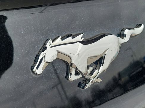 Used 2015 Ford Mustang Premium w/ Enhanced Security Package image 7