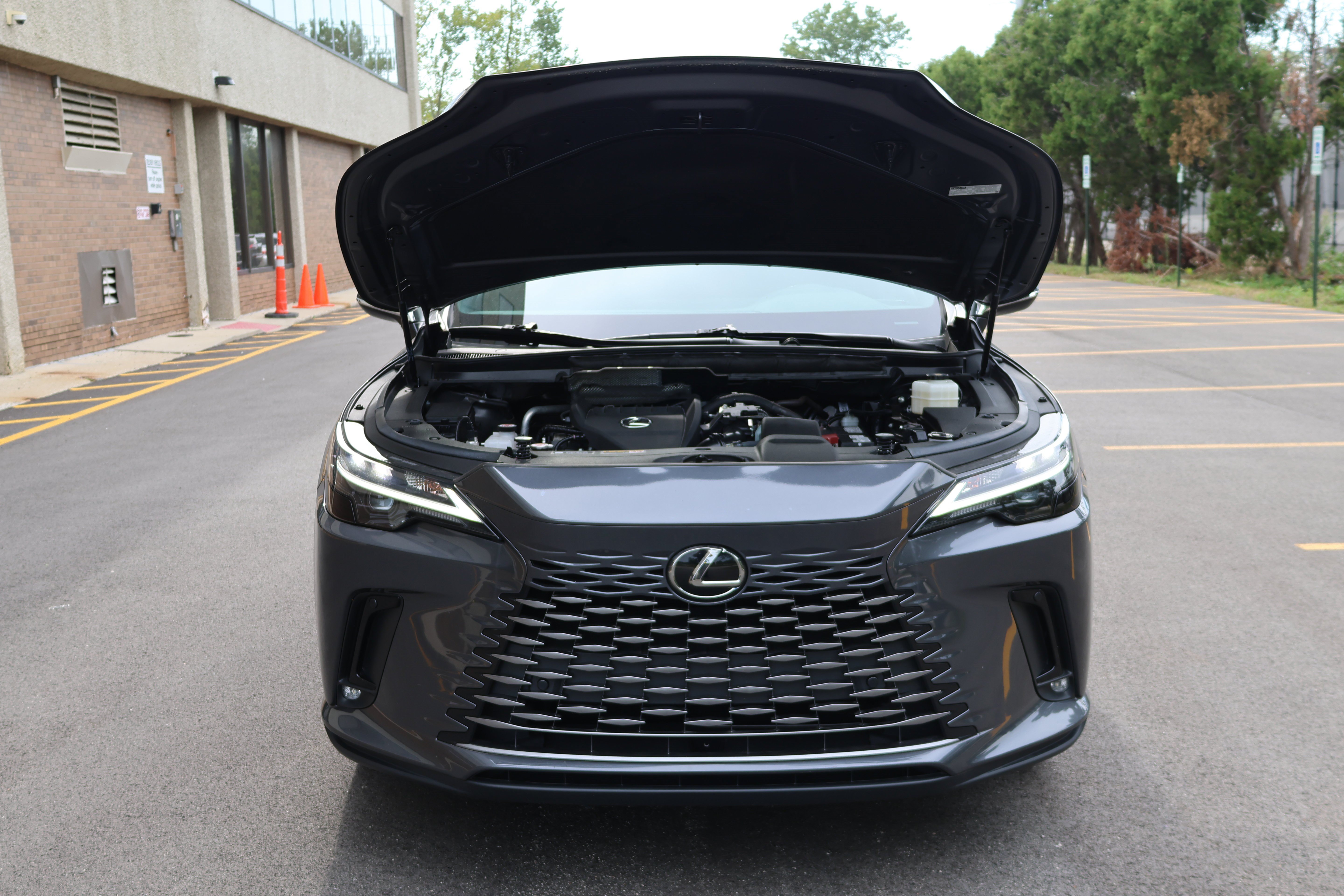 Used 2024 Lexus RX 350 Premium Plus AWD/4WD image 13