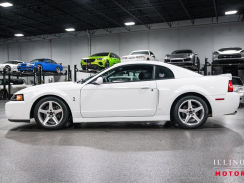 Used 2003 Ford Mustang Cobra image 2