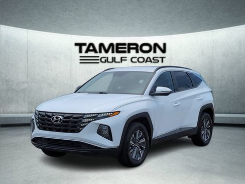 Used 2023 Hyundai Tucson Blue AWD/4WD image 1