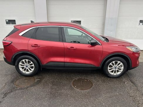 Used 2022 Ford Escape SE w/ Convenience Package image 6