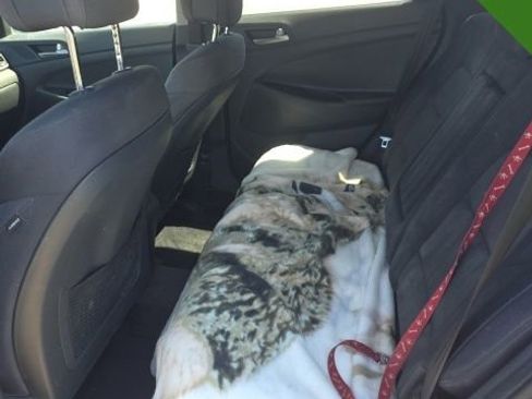 Used 2018 Hyundai Tucson SEL image 15