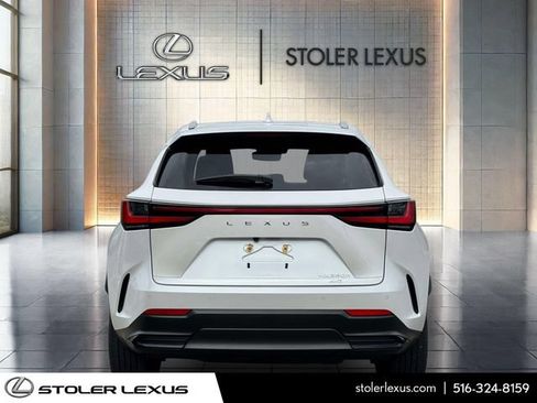 Used 2025 Lexus NX 350h AWD w/ Cold Area Package image 6