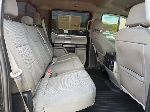 Used 2019 Ford F150 XLT w/ Equipment Group 302A Luxury AWD/4WD image 19