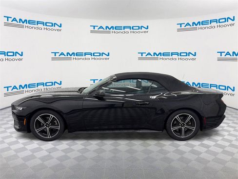 Used 2024 Ford Mustang Convertible image 2