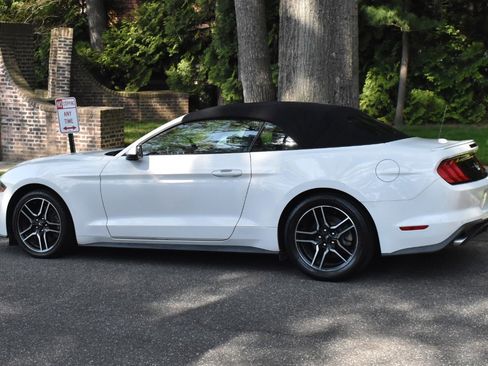 Used 2019 Ford Mustang Premium image 18