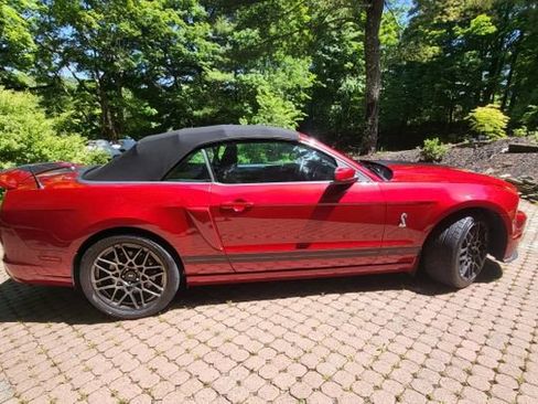 Used 2014 Ford Mustang Shelby GT500 w/ Equipment Group 821A RWD image 3