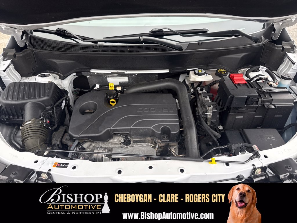Used 2025 Chevrolet Equinox LT w/ Convenience Package II AWD/4WD image 5