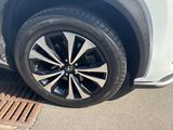 Used 2019 Lexus NX 300 F Sport w/ F Sport Comfort Package image 2