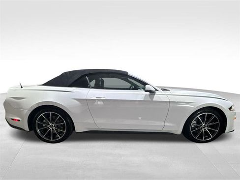 Used 2019 Ford Mustang Premium w/ Equipment Group 201A image 4