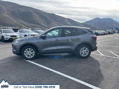 Used 2025 Ford Escape Active AWD/4WD image 4
