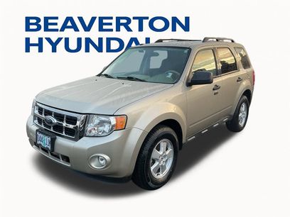 Used 2010 Ford Escape XLT