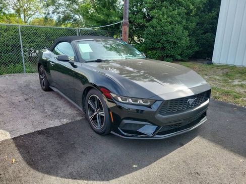 Used 2024 Ford Mustang Premium RWD image 1