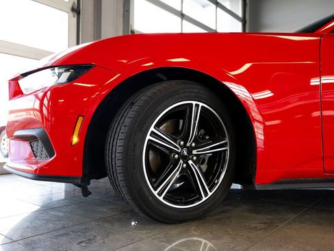Used 2024 Ford Mustang Premium RWD image 6