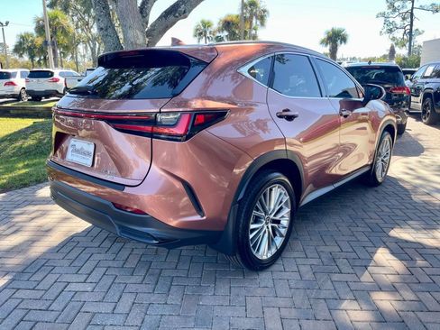 Used 2025 Lexus NX 350 AWD w/ Luxury Package image 6