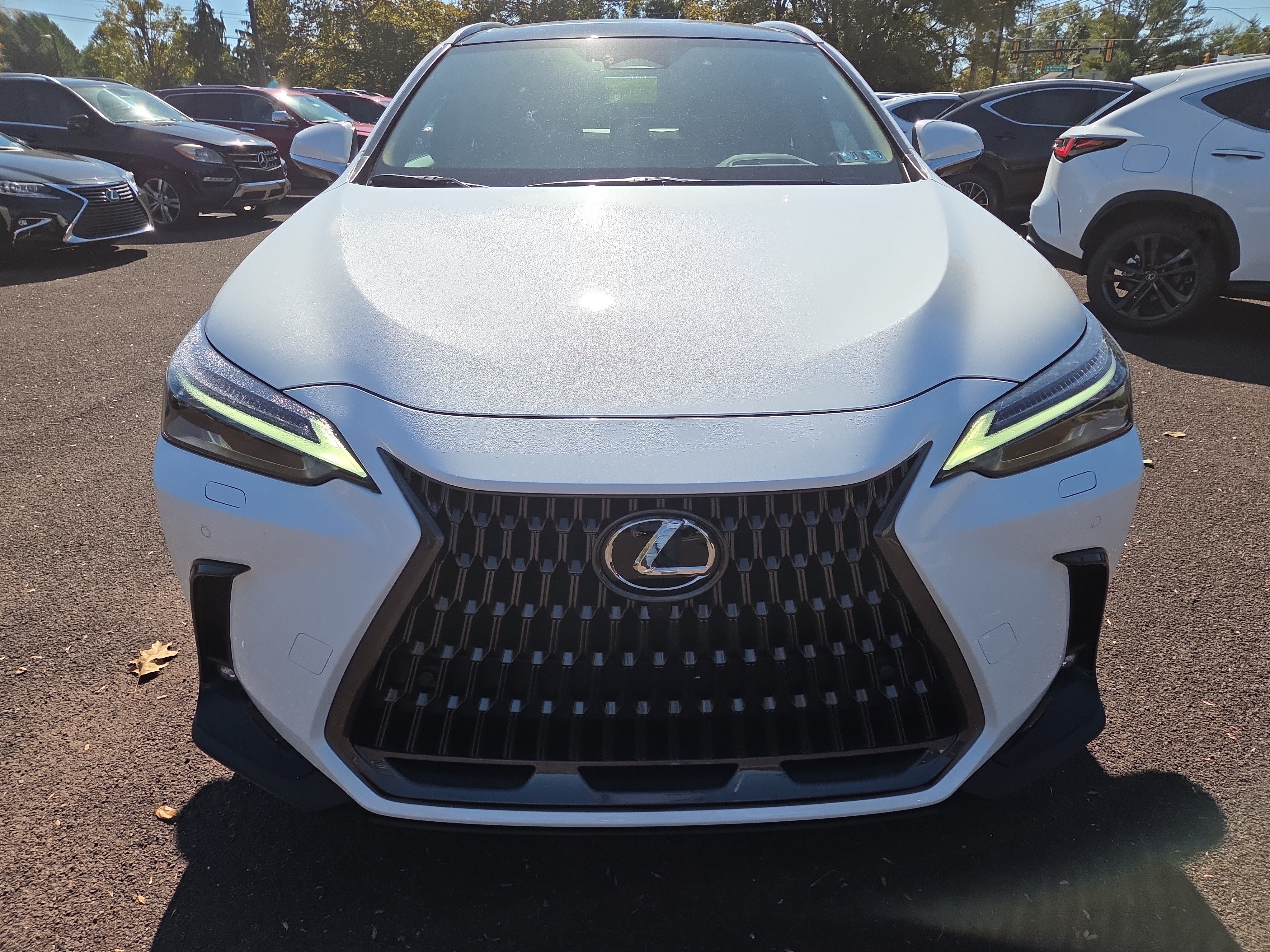 New 2026 Lexus NX 350 AWD w/ Accessory Package (2T) image 6
