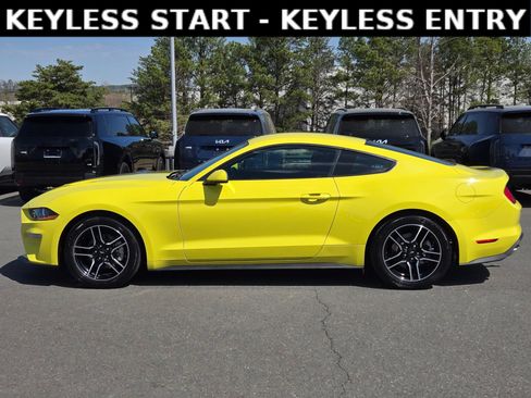 Used 2021 Ford Mustang Coupe w/ Equipment Group 101A image 4