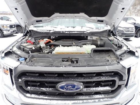 Certified 2021 Ford F150 XLT w/ Equipment Group 302A High image 16