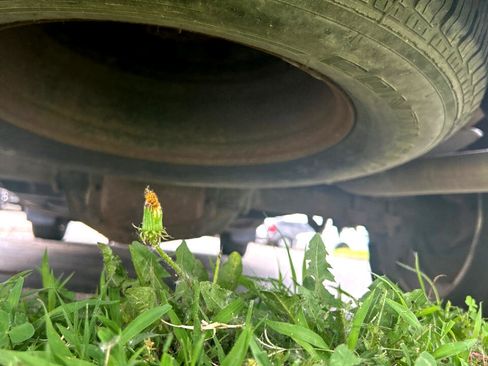 Used 2005 Ford F150 XLT image 14