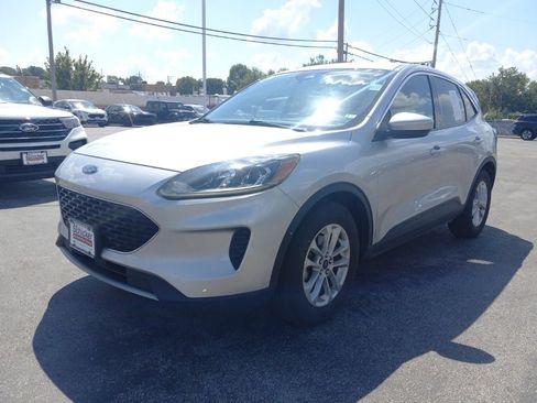 Used 2020 Ford Escape SE FWD image 1