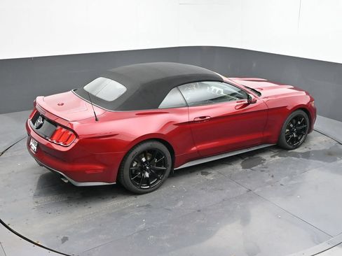 Used 2015 Ford Mustang Premium w/ Equipment Group 201A RWD image 19