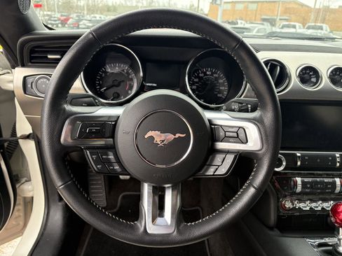 Used 2015 Ford Mustang 50 Years image 8