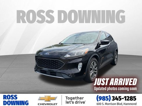 Used 2022 Ford Escape SEL FWD image 1