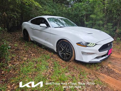 Used 2019 Ford Mustang Coupe w/ Equipment Group 101A RWD image 1