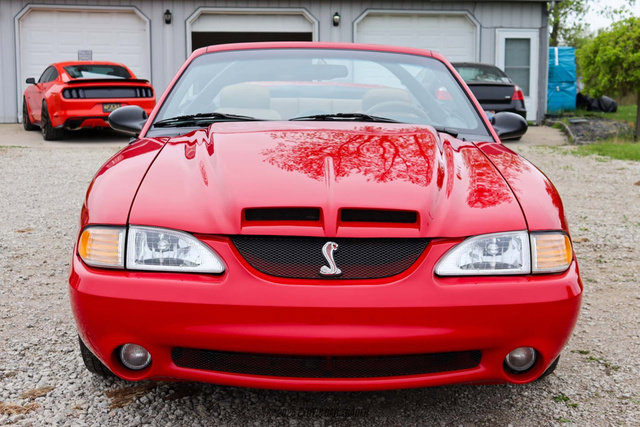 Used 1994 Ford Mustang GT RWD image 13