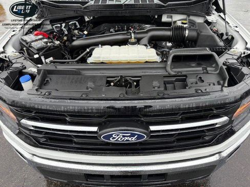 Used 2025 Ford F150 XLT w/ Equipment Group 301A Standard AWD/4WD image 36