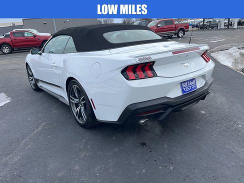 Used 2025 Ford Mustang Premium w/ Wheel & Stripe Package image 6