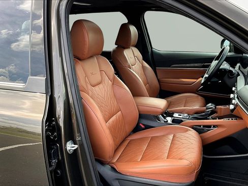 Used 2024 Kia Telluride SX Prestige X-Line image 30