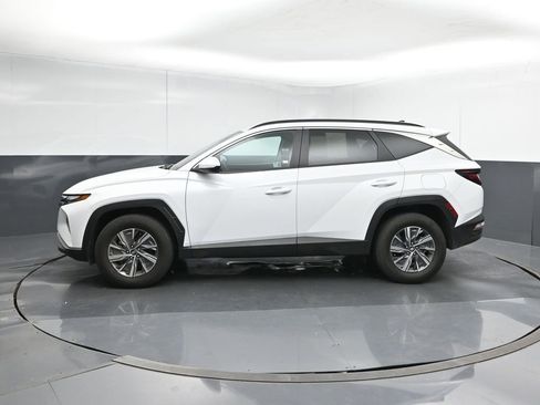 Used 2024 Hyundai Tucson Blue AWD/4WD image 2
