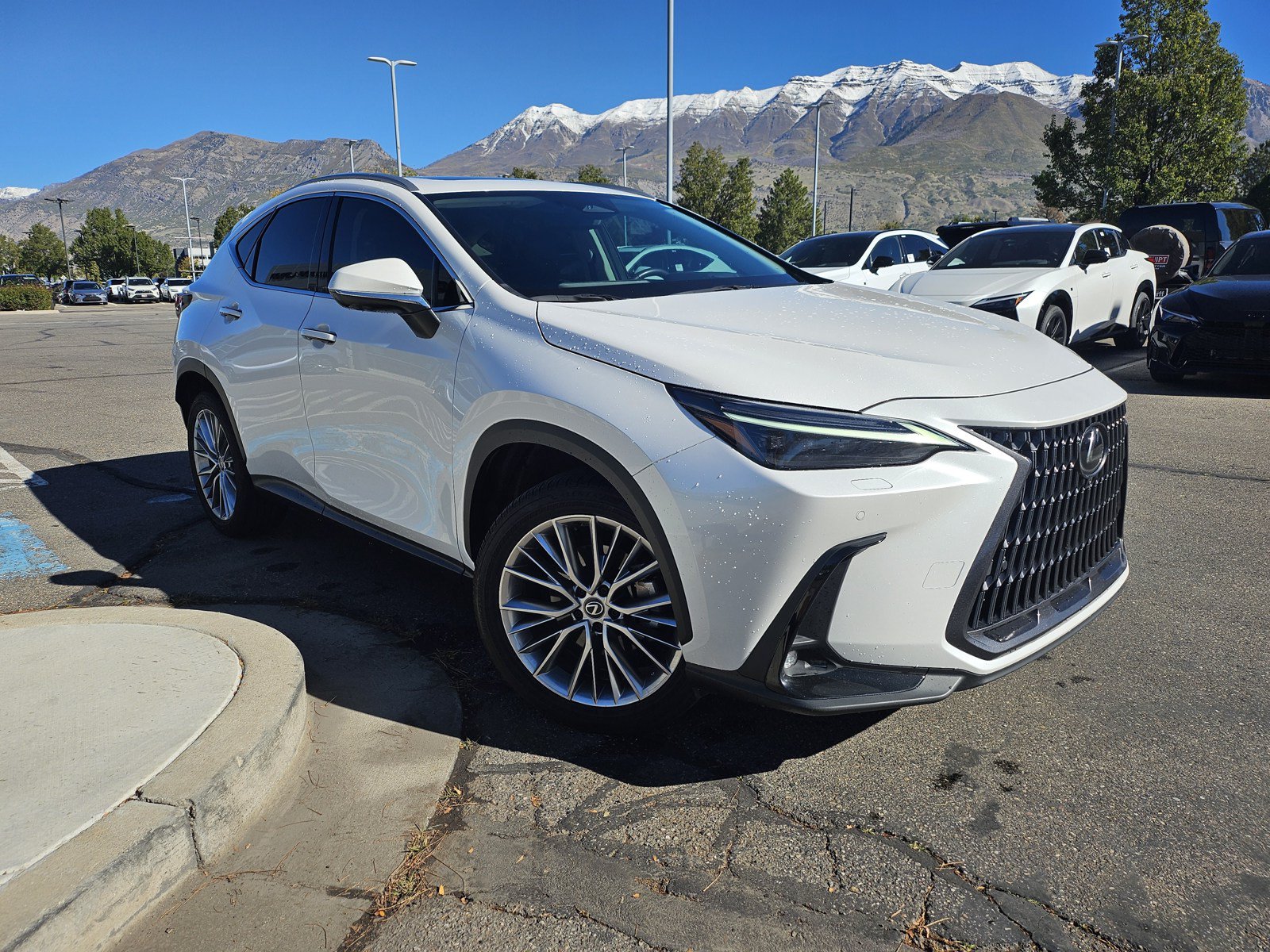 Used 2024 Lexus NX 350 AWD w/ Vision Package image 3