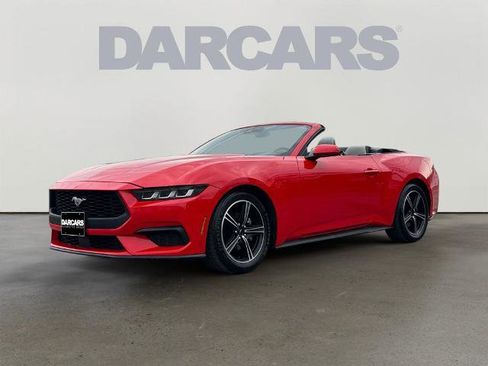 Certified 2024 Ford Mustang Premium image 3