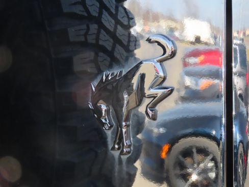 Used 2023 Ford Bronco Wildtrak image 19