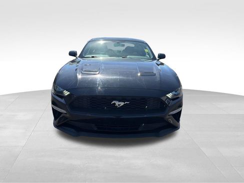 Used 2019 Ford Mustang Coupe RWD image 10