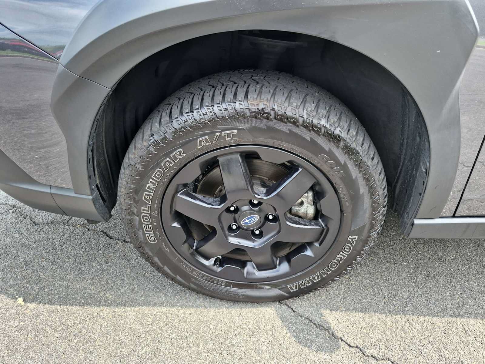 Certified 2024 Subaru Outback Wilderness AWD/4WD image 14