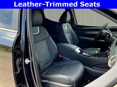 New 2025 Hyundai Santa Cruz Limited image 8