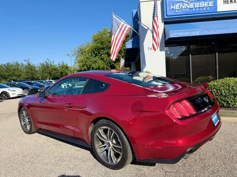 Used 2015 Ford Mustang Premium w/ Equipment Group 201A RWD image 9
