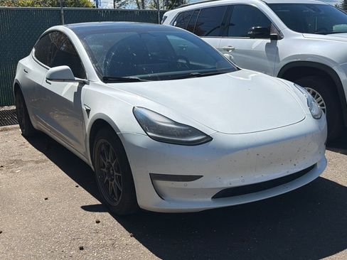 Used 2019 Tesla Model 3 Standard Range Plus image 2