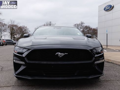 Certified 2023 Ford Mustang Premium w/ Equipment Group 201A image 9