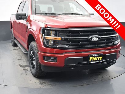 New 2025 Ford F150 XLT w/ Equipment Group 301A Standard