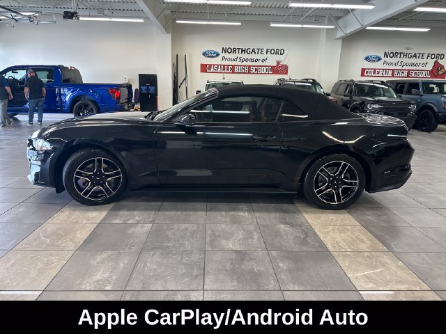 Used 2018 Ford Mustang Premium w/ Equipment Group 201A RWD image 15