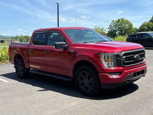 Used 2021 Ford F150 XLT w/ Equipment Group 302A High AWD/4WD image 1