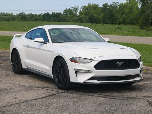 Used 2019 Ford Mustang Premium w/ Ecoboost Performance Package RWD image 1
