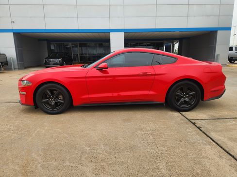 Used 2019 Ford Mustang Coupe RWD image 5